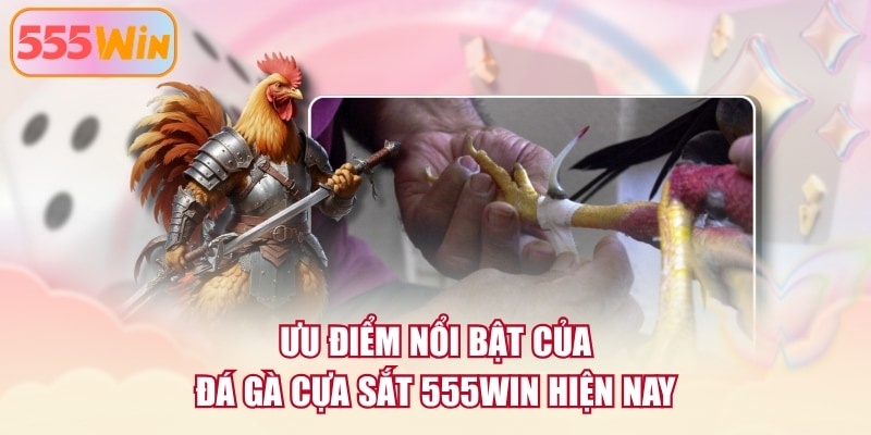 Ưu điểm nổi bật của đá gà cựa sắt 555WIN hiện nay